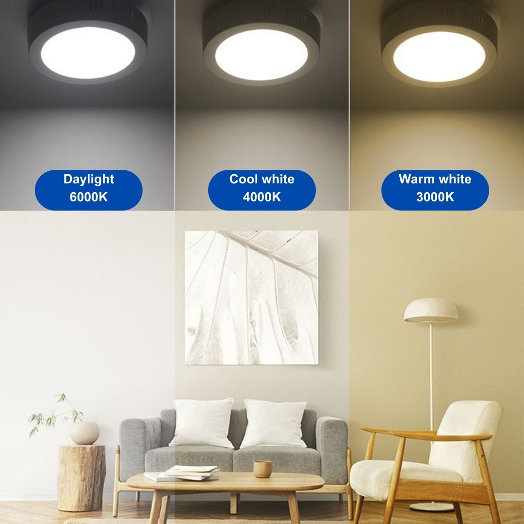 Surface Mount Ceiling Light