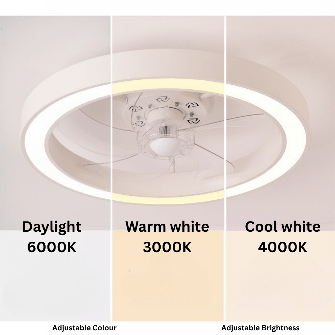 AirGlow Ceiling lights with fan - THE LIGHTING GALLERY