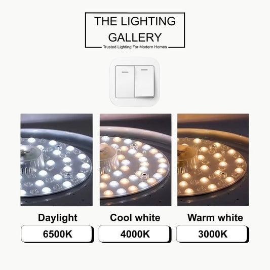 LED Ceiling Light source - THE LIGHTING GALLERY