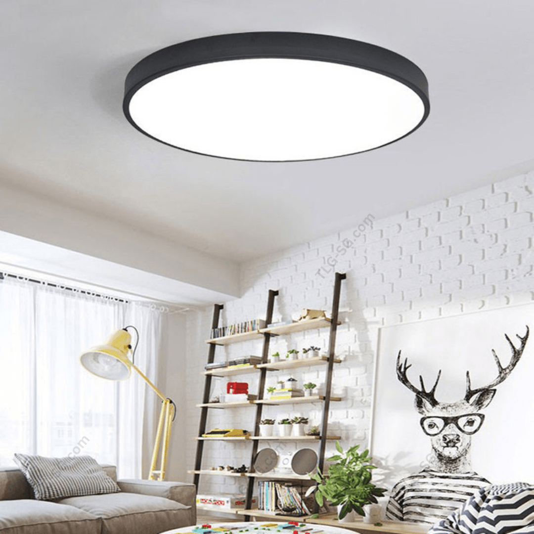Minimalist Ceiling Lights 30W Tri Tone with remote - THE LIGHTING GALLERY