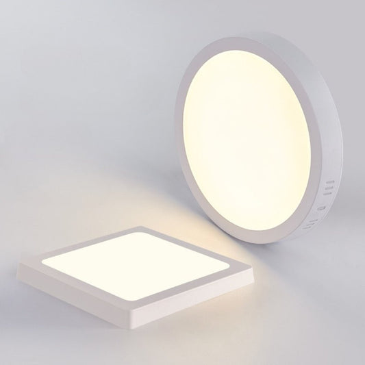 Modern Ceiling Light - THE LIGHTING GALLERY