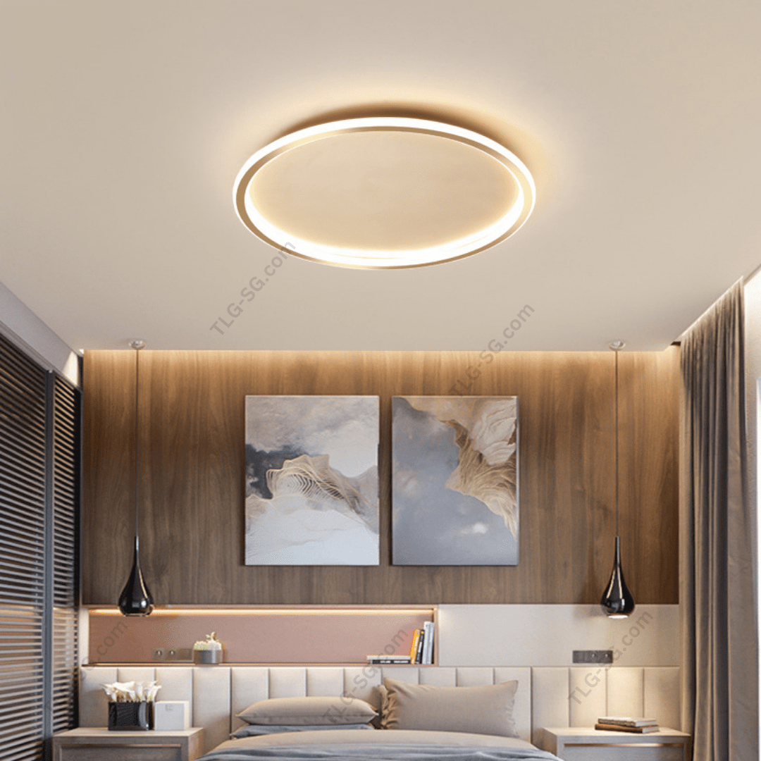 Ultra Thin LED Ceiling Light with Remote Control Tri Tone - THE LIGHTING GALLERY