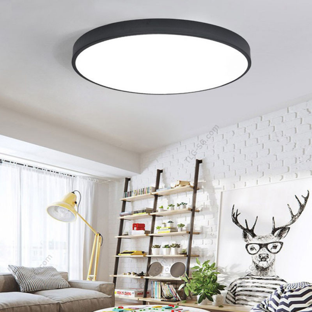 Minimalist Ceiling Lights 30W Tri Tone with remote