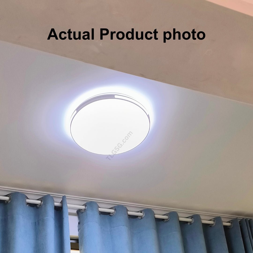 LunaEdge Ceiling Light - THE LIGHTING GALLERY