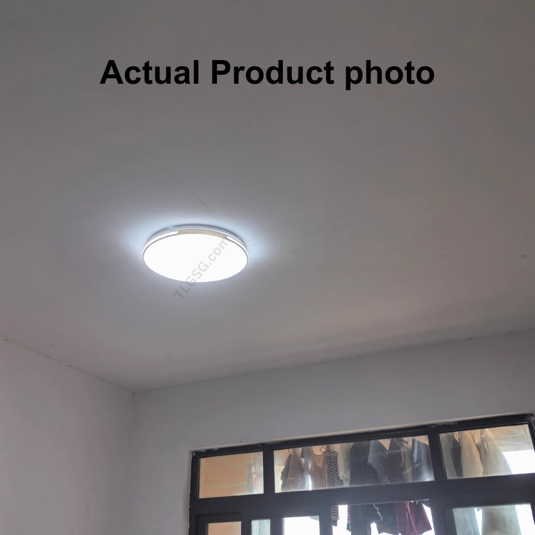 LunaEdge Ceiling Light - THE LIGHTING GALLERY