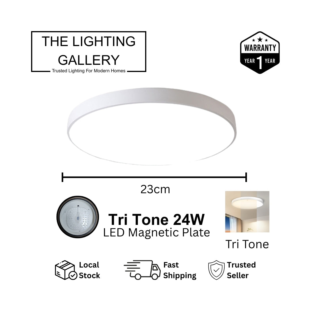 Minimalist Ceiling Light - THE LIGHTING GALLERY