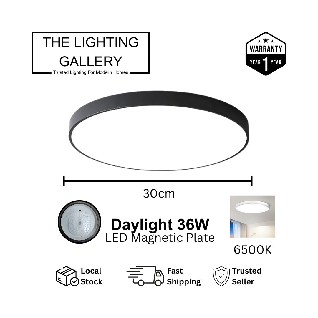 Minimalist Ceiling Light - THE LIGHTING GALLERY