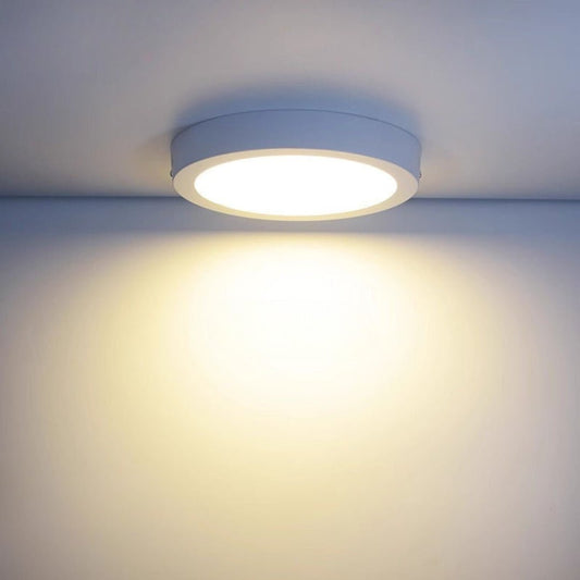 Surface Mount Ceiling Light - THE LIGHTING GALLERY